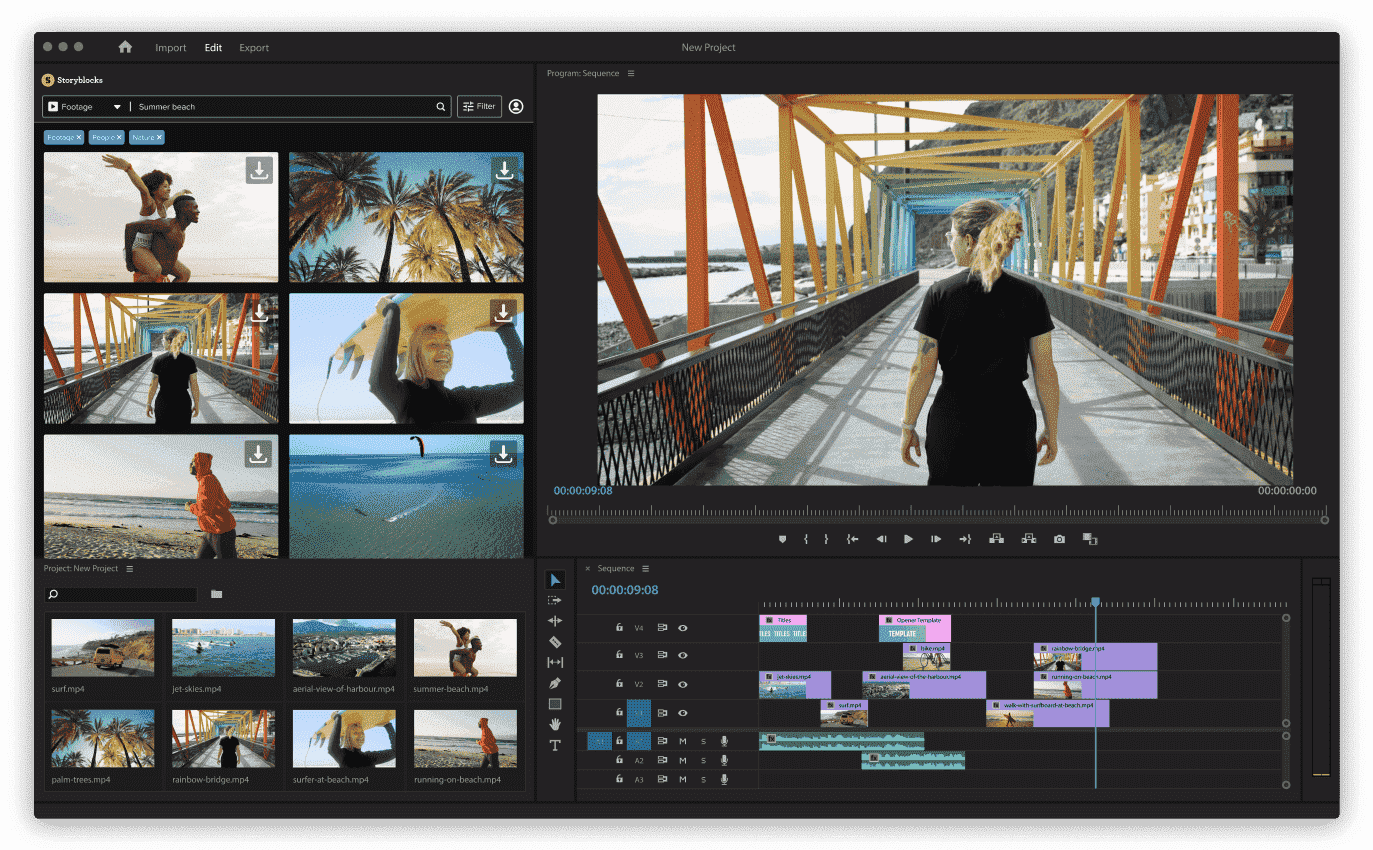 A view of the Premiere Pro Plugin open in Premiere Pro