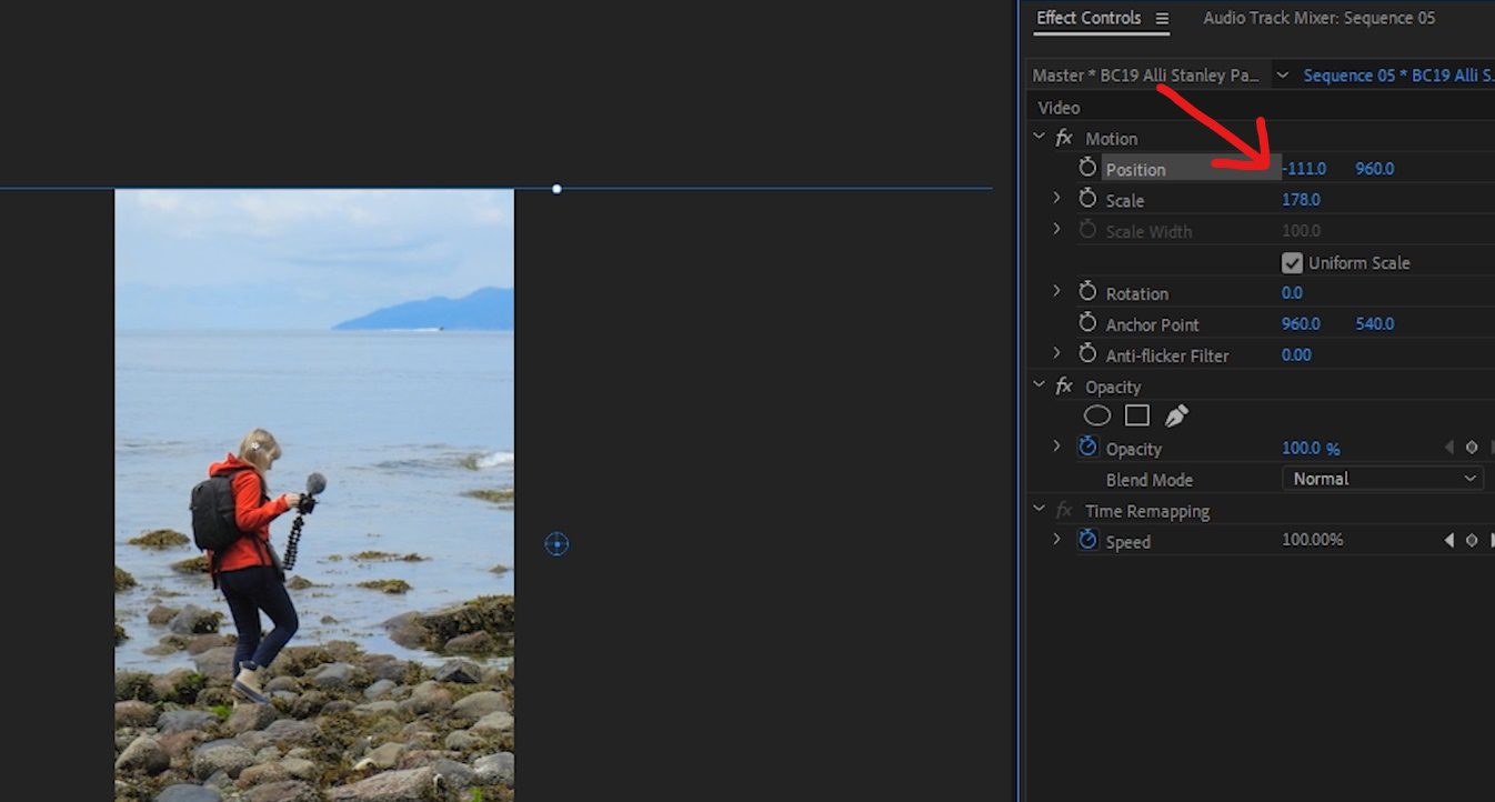 A screenshot of the Effect Controls panel inside Premiere Pro showing the Position settings.