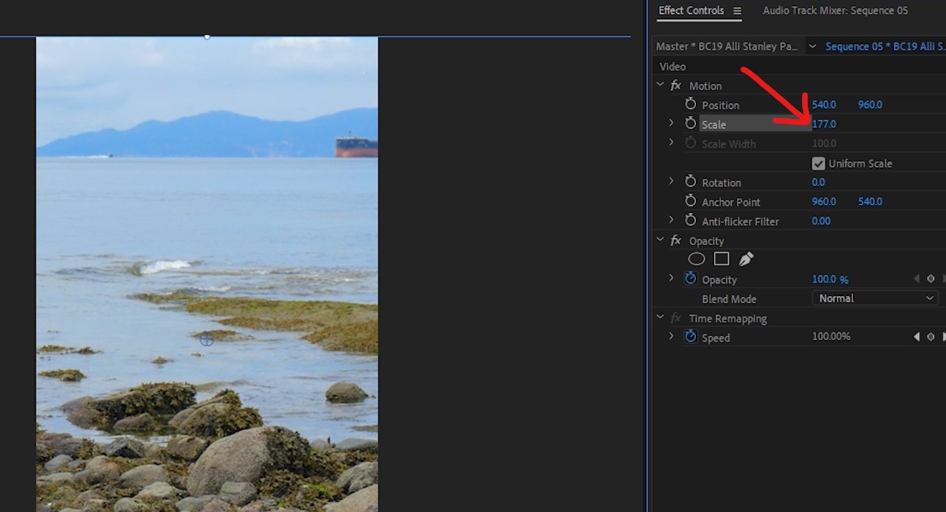 A screenshot of the Effect Controls panel inside Premiere Pro with the Scale setting selected.