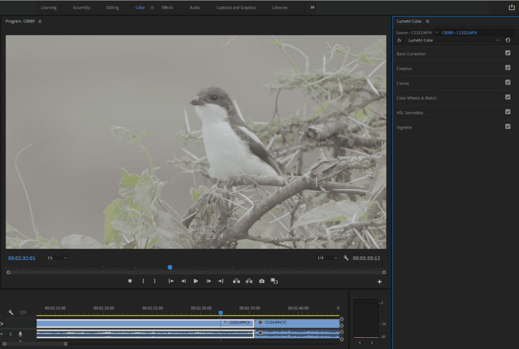 A screenshot of Premiere Pro showing where the Color tab and Lumetri Color panel are found.