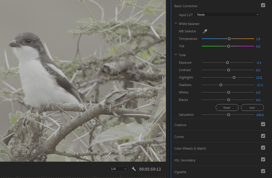 A screenshot of Premiere Pro showing how to adjust the Shadows and Highlights sliders.