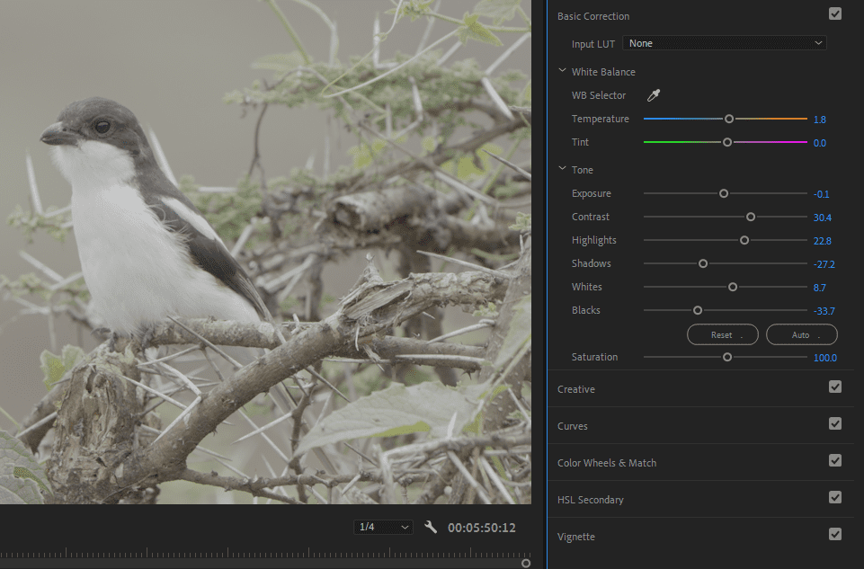 A screenshot of Premiere Pro showing how to adjust the Contrast slider.