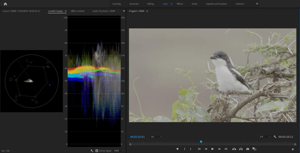 A screenshot of the Lumetri Scopes panel showing the RGB Waveform for the clip that's being edited.