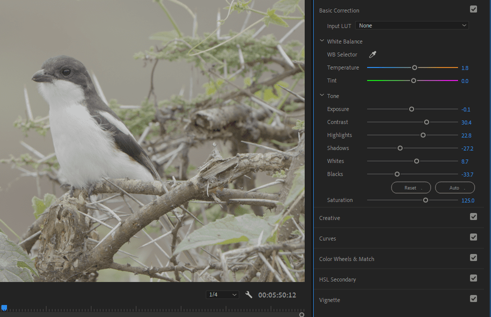 A screenshot of Premiere Pro showing how to adjust the Saturation slider.