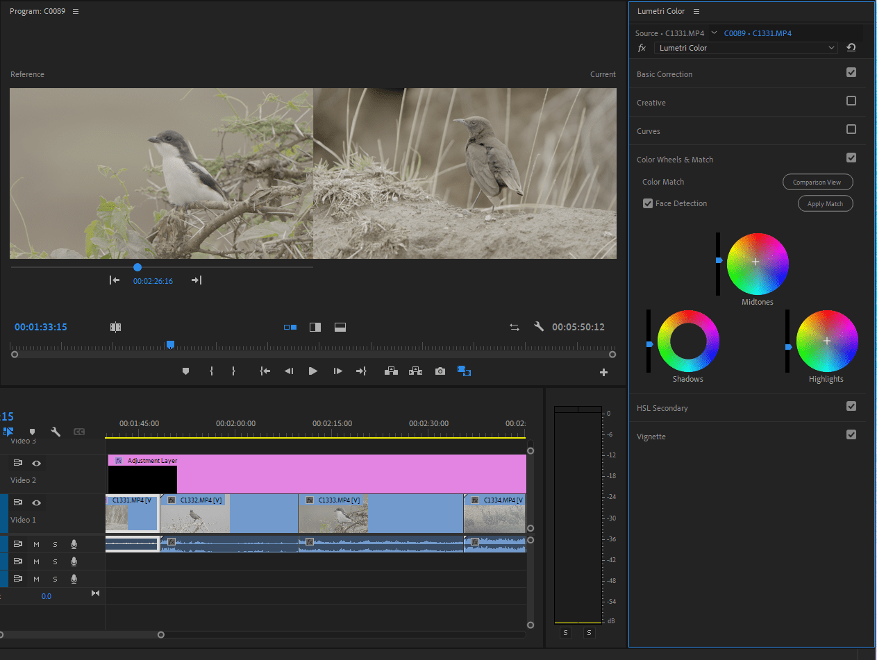 A screenshot of Premiere Pro showing where the "Apply Match" button is located within the Color Wheels & Match tab. How to color correct in Premiere Pro tutorial.