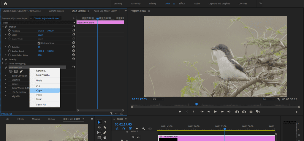 A Premiere Pro screenshot showing how to copy Lumetri Color effects to another clip.